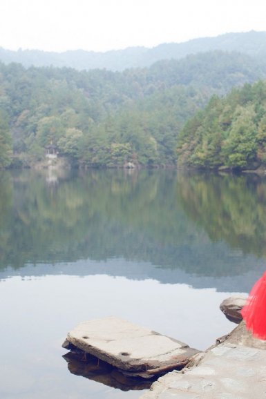 27.7万的丁家猪,这样的情怀能吃几次?“高清体育”(图1) 篮球即时