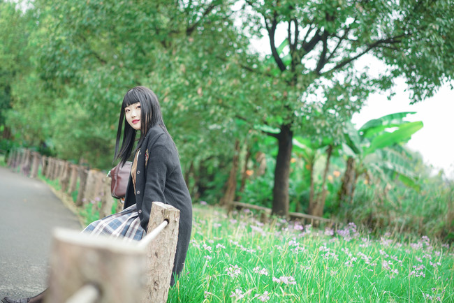 2012年11月05日河南部分地区817鸡苗及毛鸡价格【注册入口】(图4) 足球在线